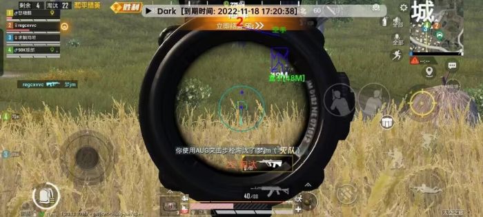 和平精英辅助有哪些软件（和平精英辅助软件）